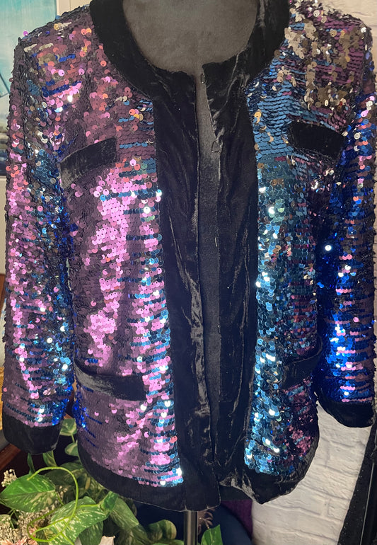 Boston Proper Sequin Blazer